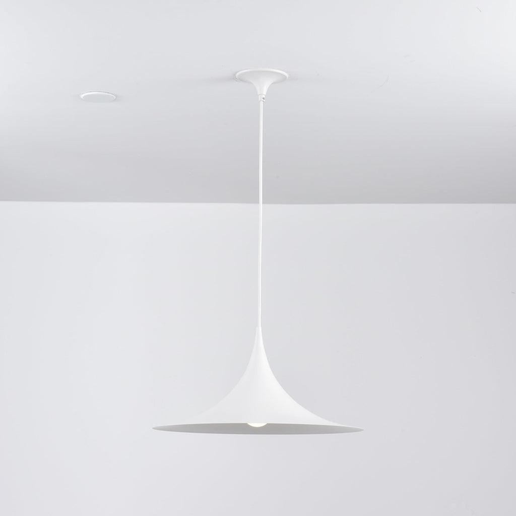 Black Pendant Light — Pendant Light | Maison Monashee — view 112