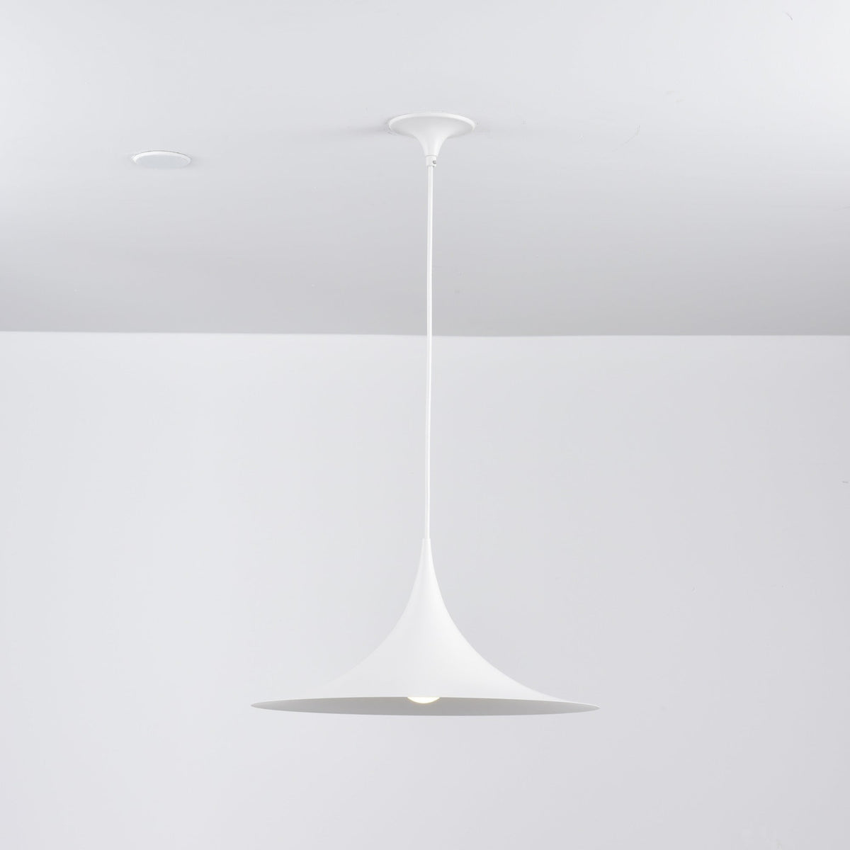 Black Pendant Light — Pendant Light | Maison Monashee — view 112