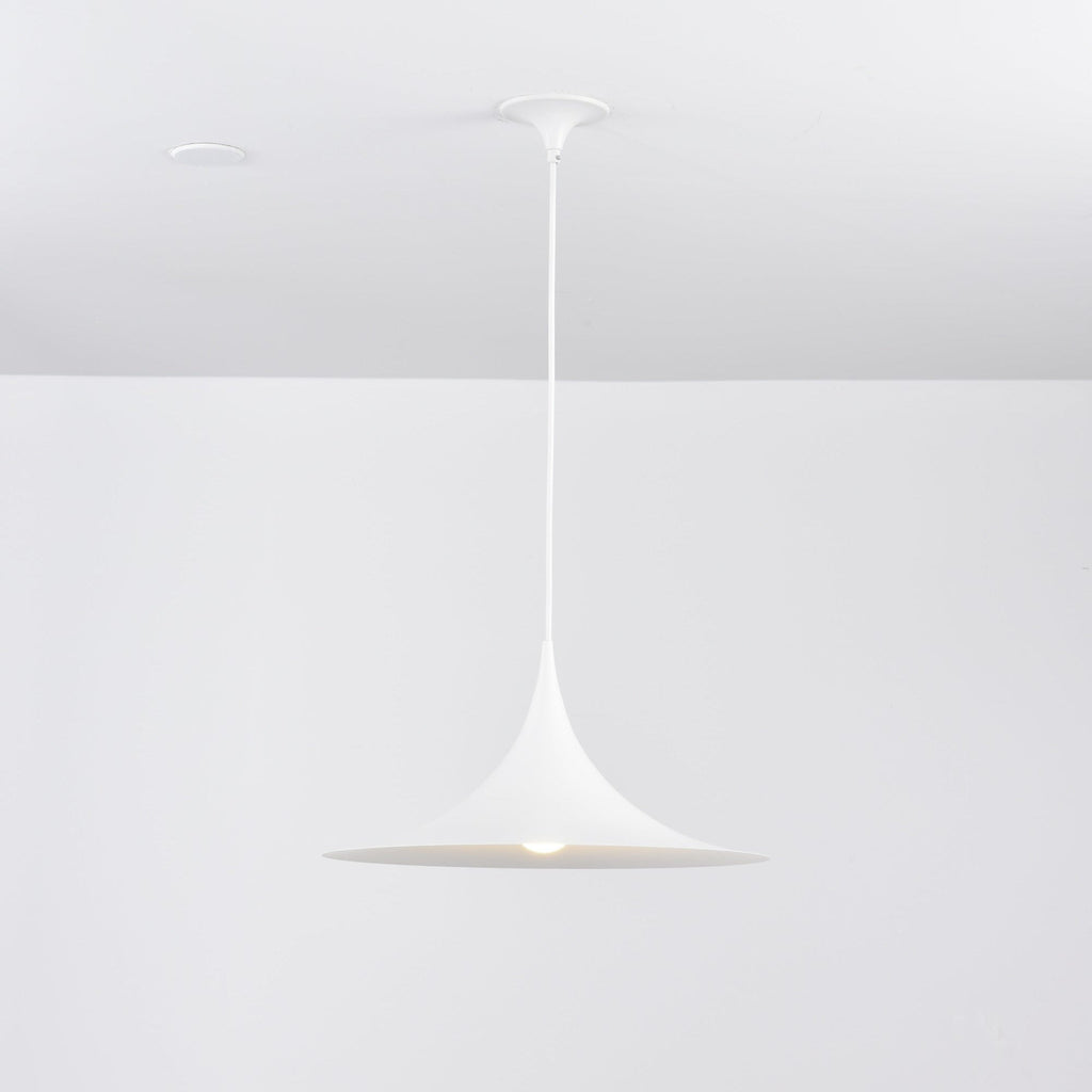 Black Pendant Light — Pendant Light | Maison Monashee — view 113