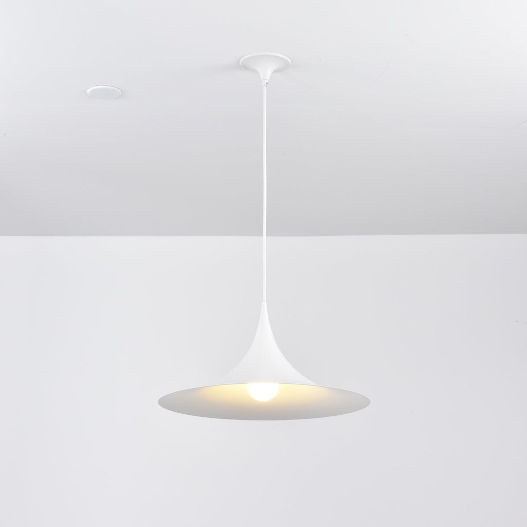 Black Pendant Light — Pendant Light | Maison Monashee — view 114
