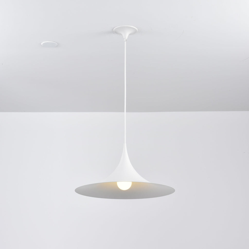 Black Pendant Light — Pendant Light | Maison Monashee — view 115