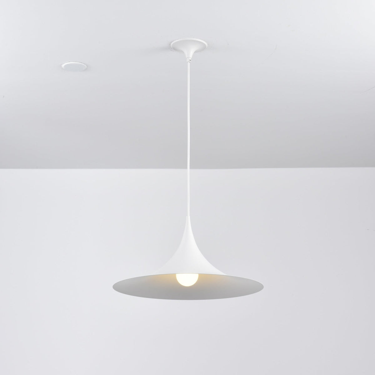 Black Pendant Light — Pendant Light | Maison Monashee — view 115