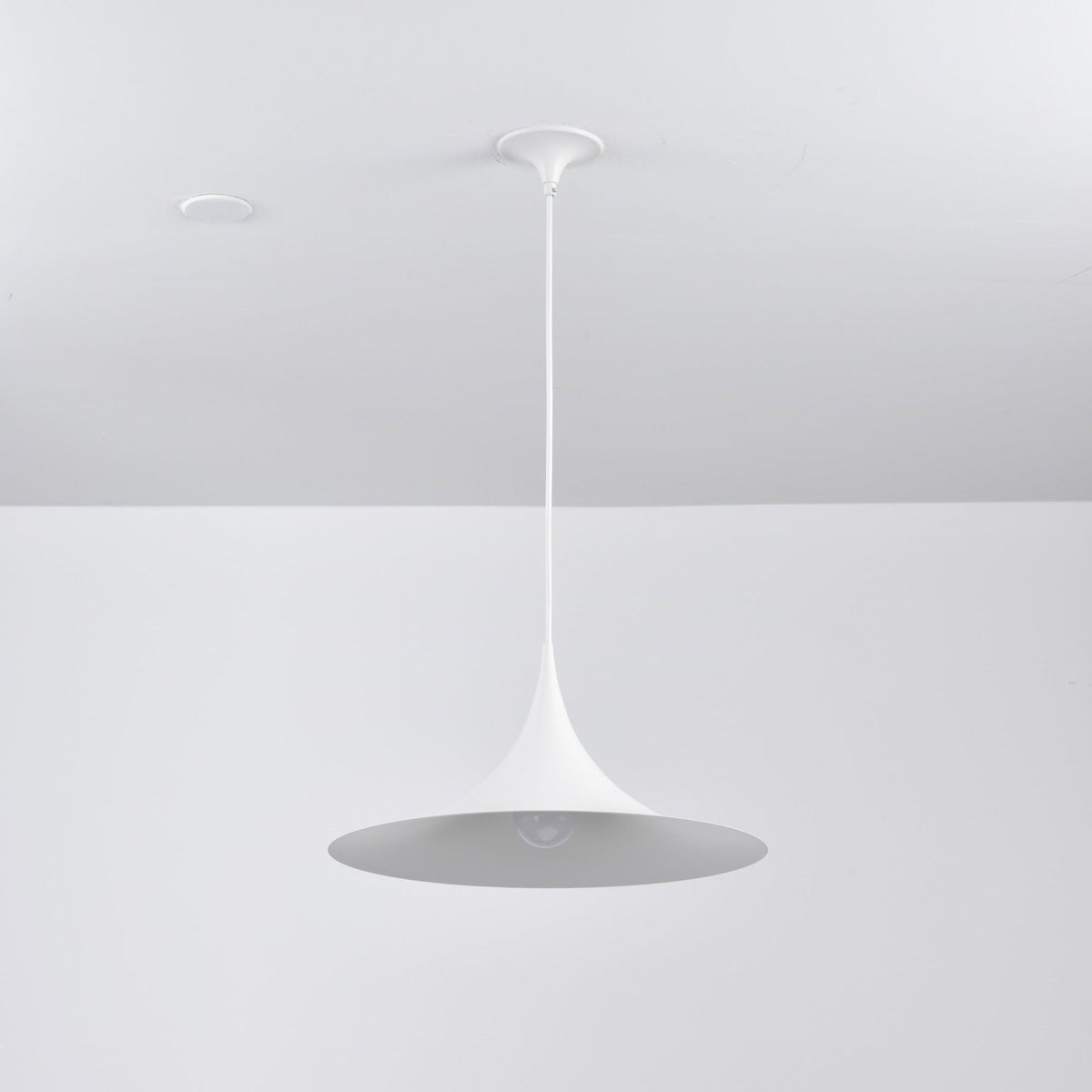 Black Pendant Light — Pendant Light | Maison Monashee — view 116