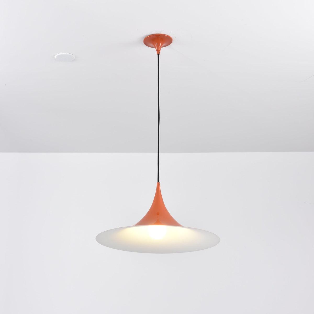 Black Pendant Light — Pendant Light | Maison Monashee — view 130