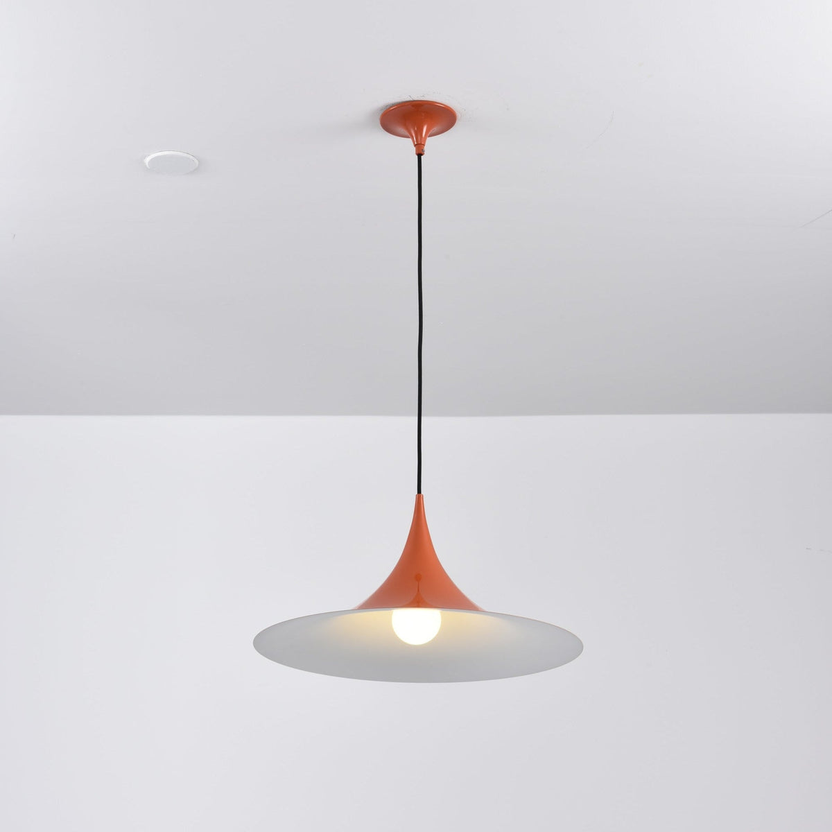 Black Pendant Light — Pendant Light | Maison Monashee — view 131