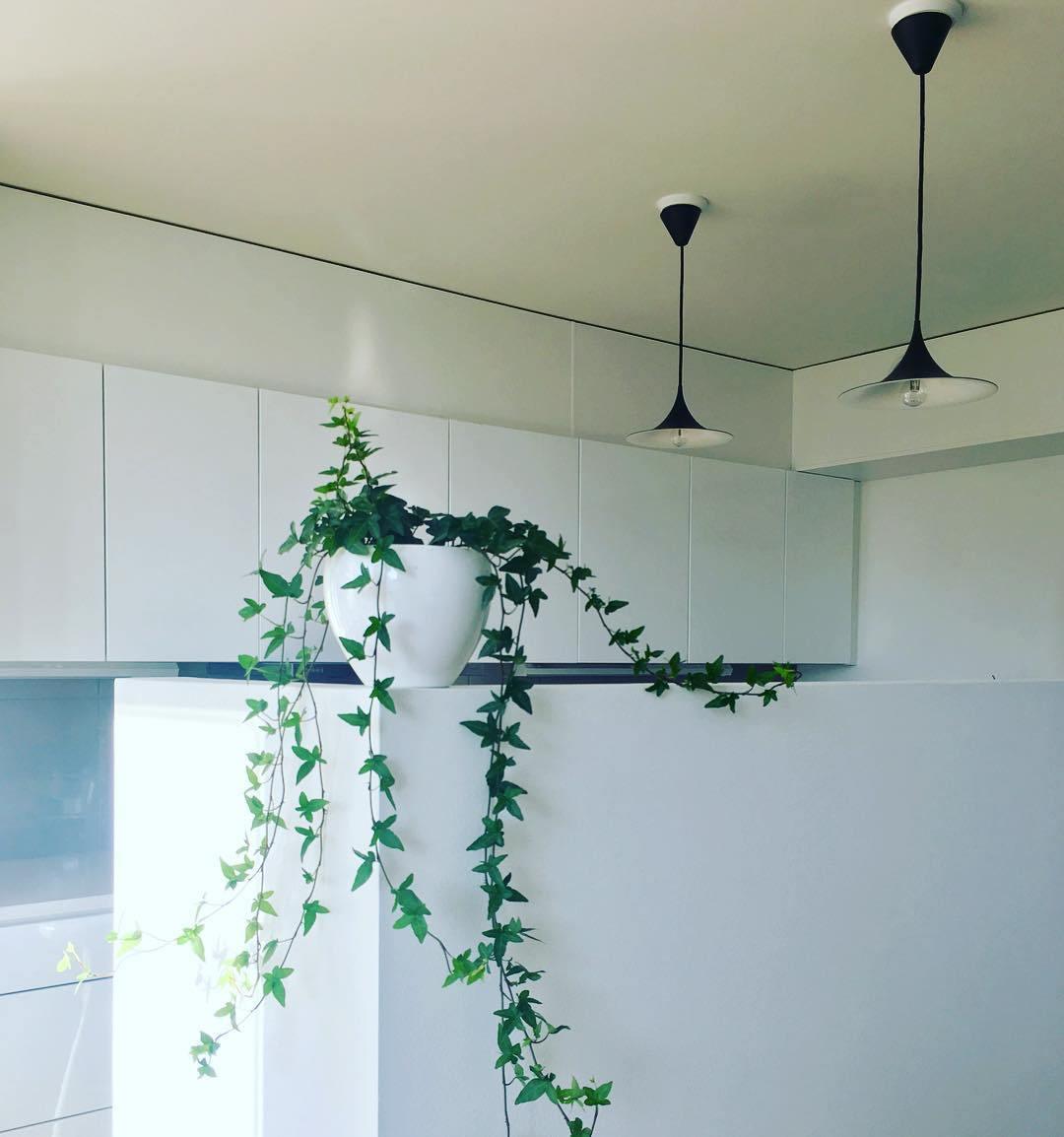 Black Pendant Light — Pendant Light | Maison Monashee — view 56