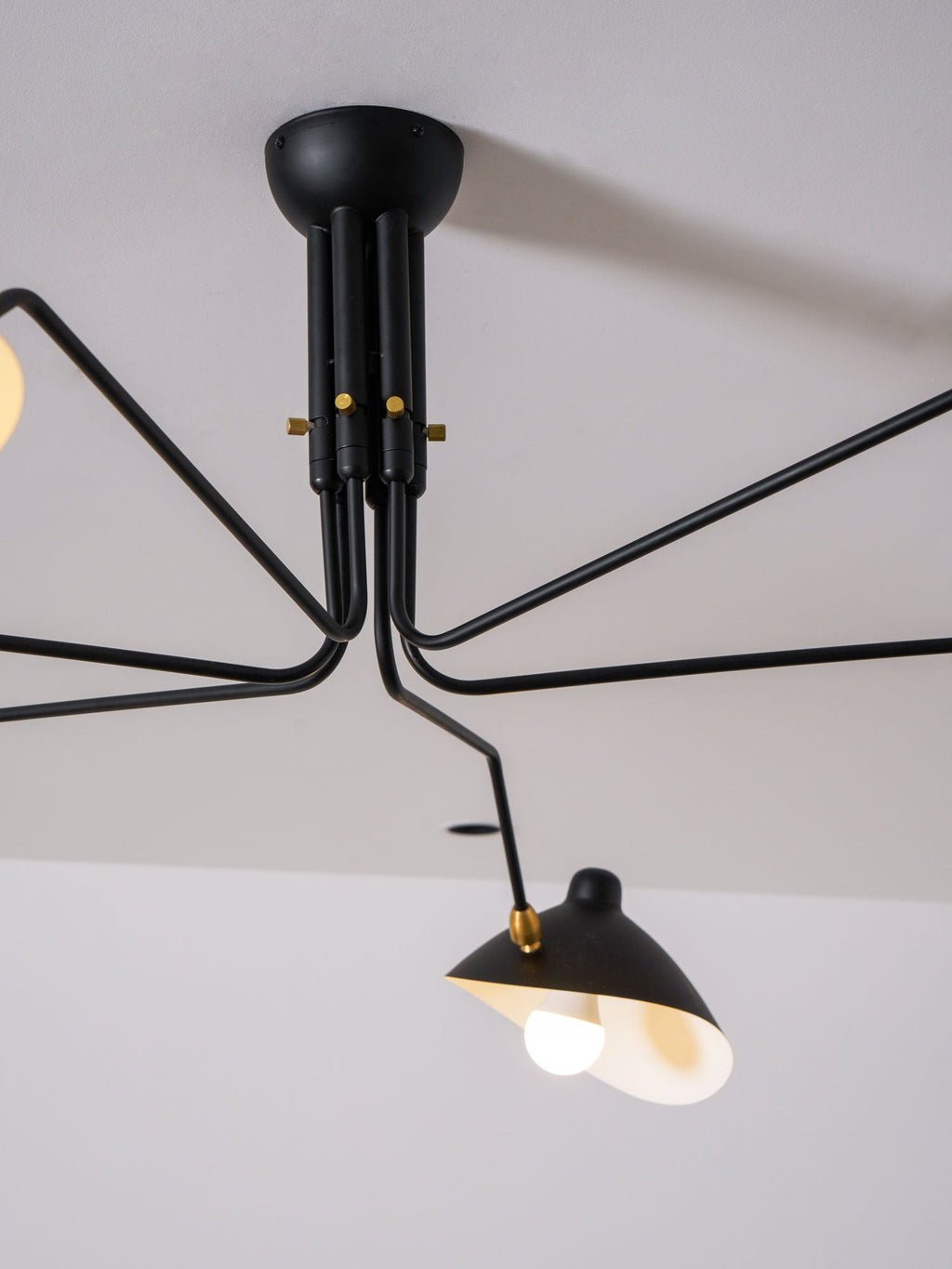 Black Metal Ceiling Light Fixture — Ceiling Light | Maison Monashee — view 90