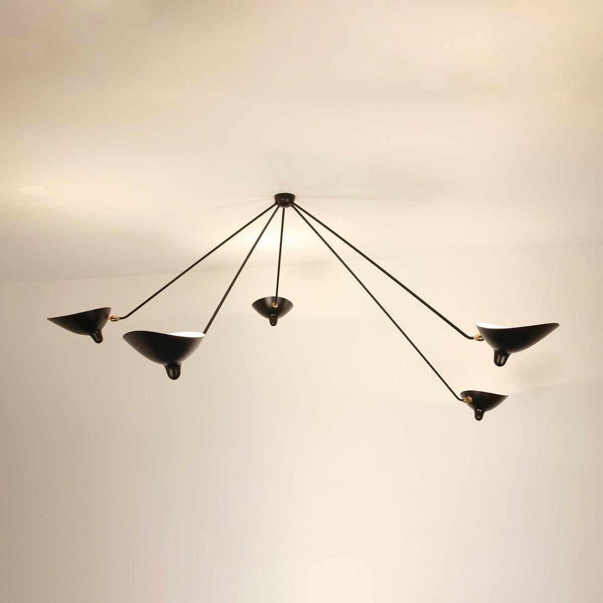 Sculptural Light Fixture — Ceiling Light | Maison Monashee — view 11