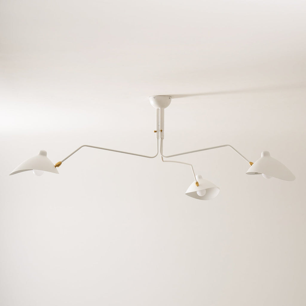 Black Metal Ceiling Light Fixture — Ceiling Light | Maison Monashee — view 66