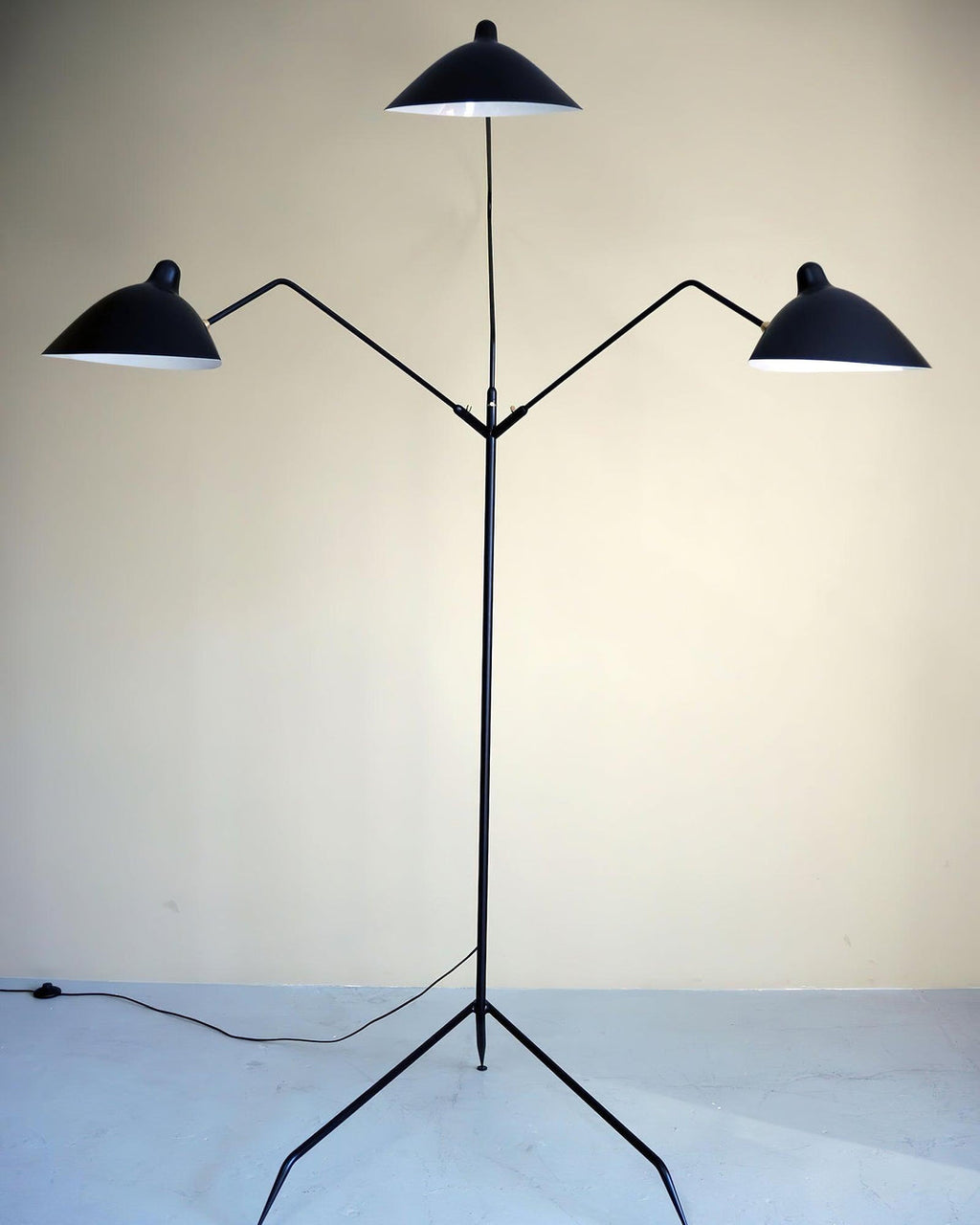Vintage Metal Floor Lamp — Floor Lamp | Maison Monashee — view 63