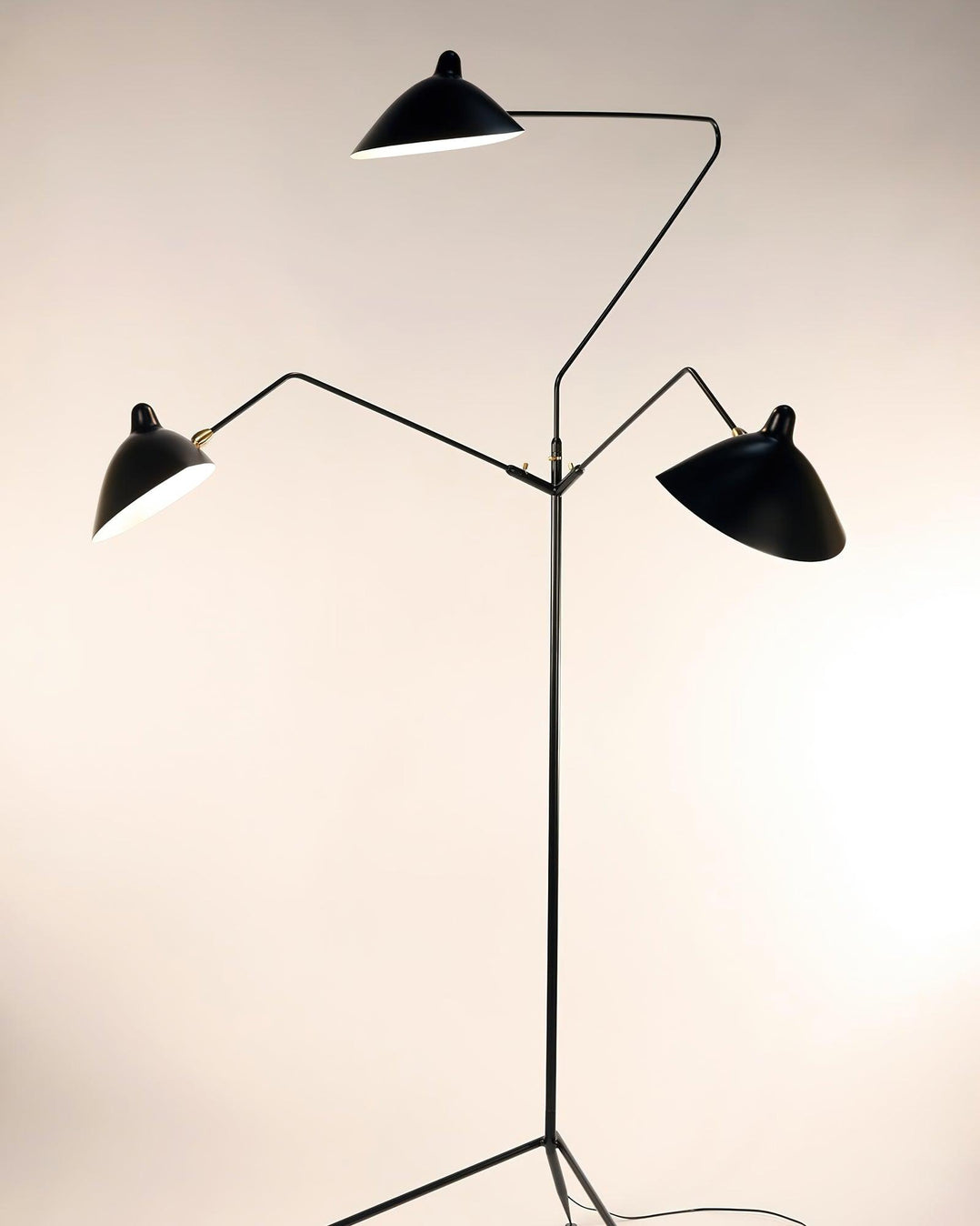 Vintage Metal Floor Lamp — Floor Lamp | Maison Monashee — view 67