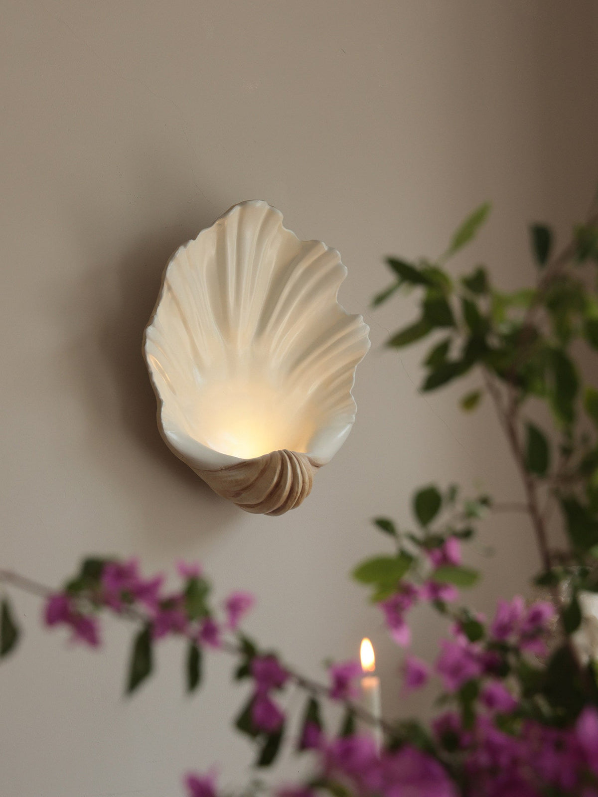 Scallop Shell Wall Sconce — Wall Sconce | Maison Monashee — view 2
