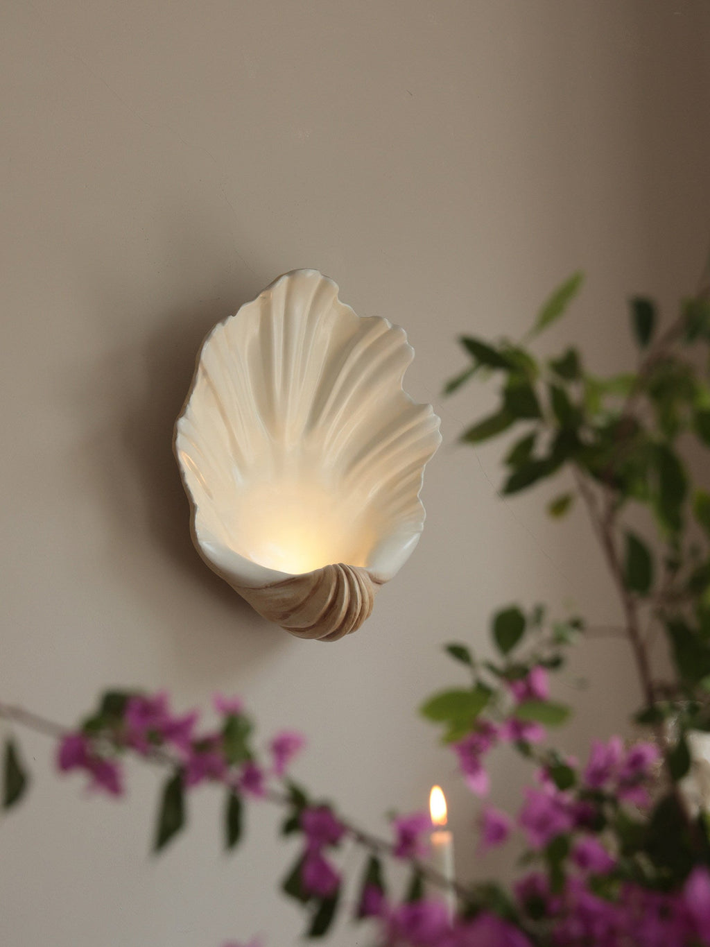 Scallop Shell Wall Sconce — Wall Sconce | Maison Monashee — view 17