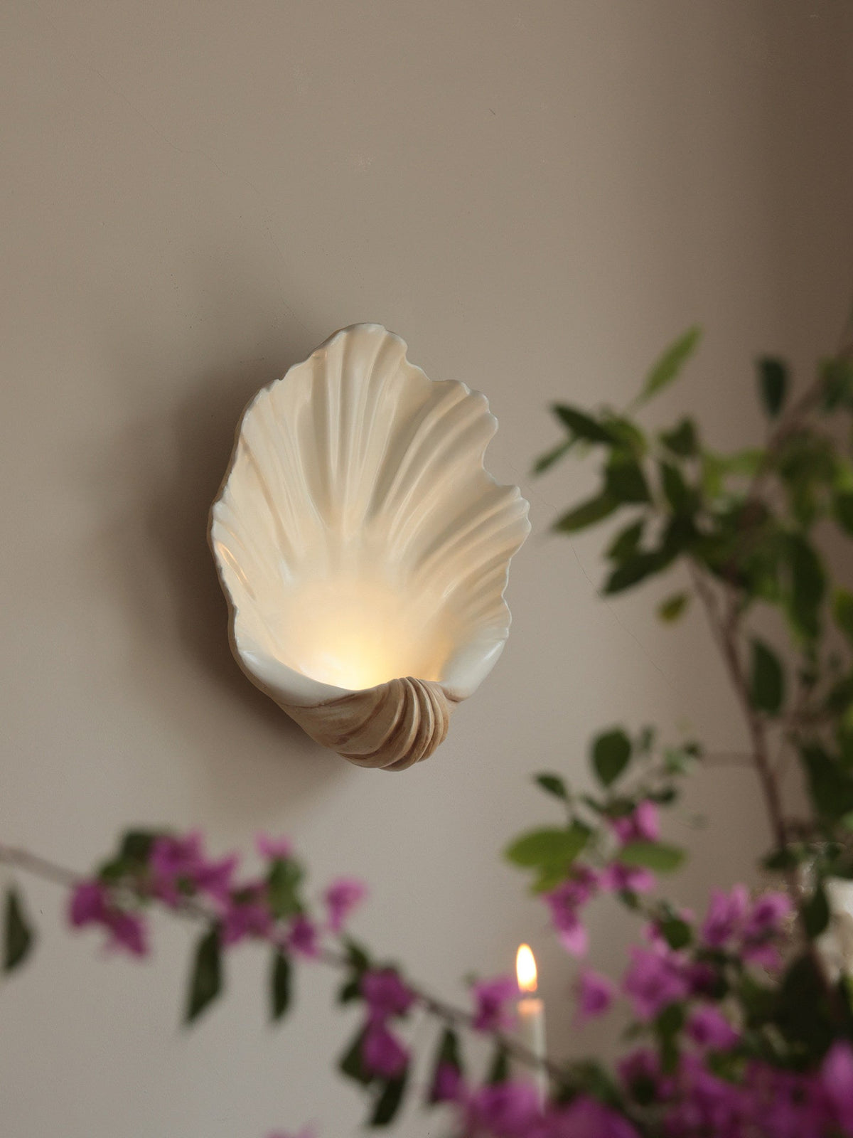 Scallop Shell Wall Sconce — Wall Sconce | Maison Monashee — view 17