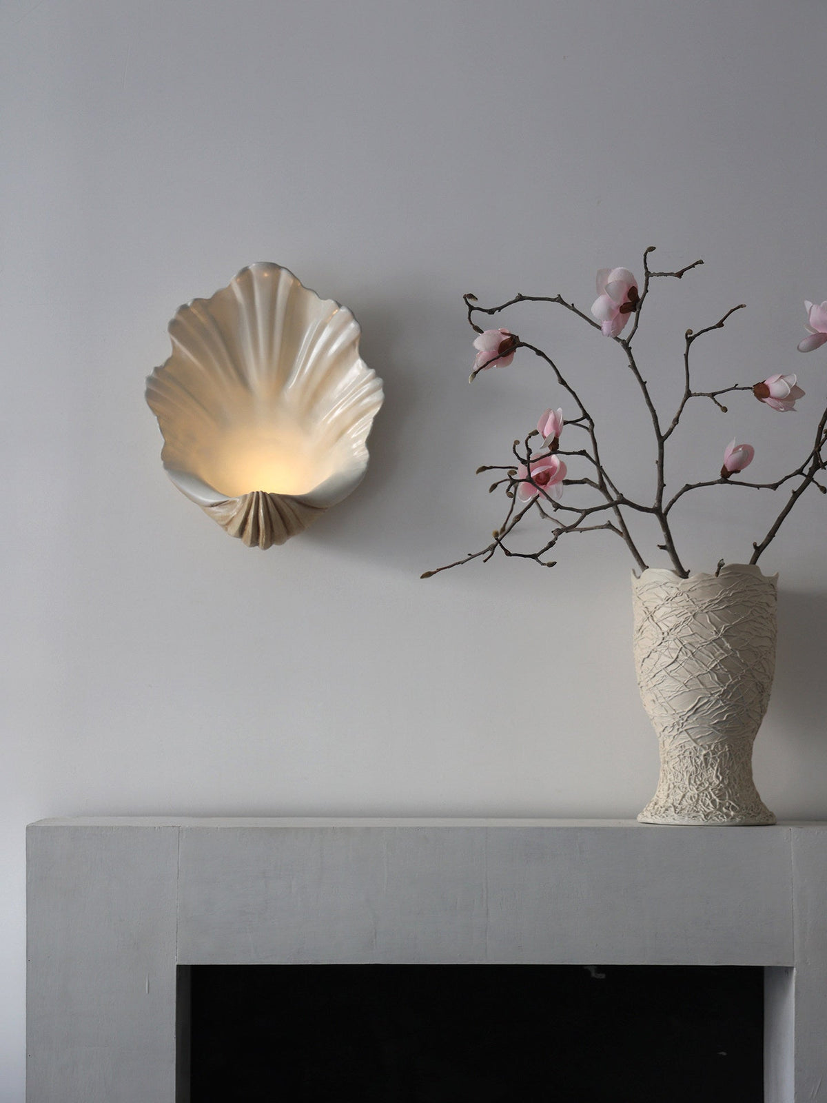 Scallop Shell Wall Sconce — Wall Sconce | Maison Monashee — view 20