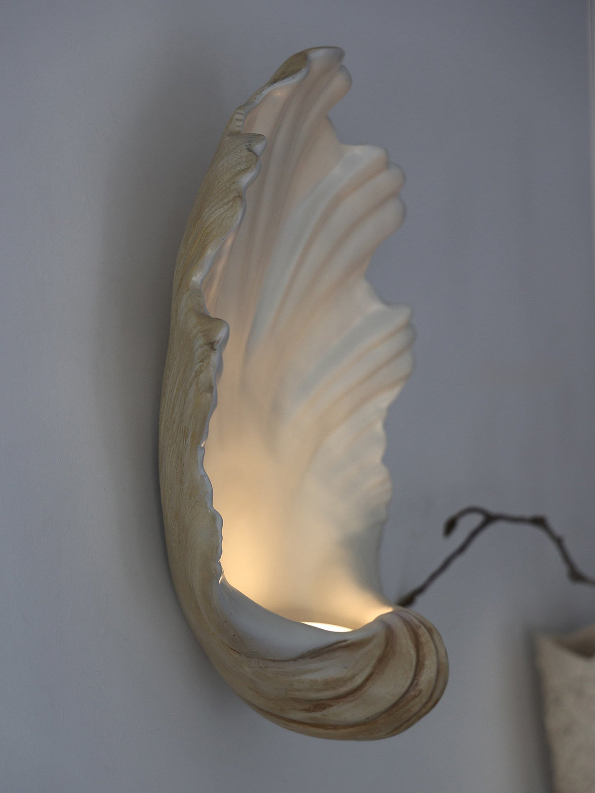 Scallop Shell Wall Sconce — Wall Sconce | Maison Monashee — view 21