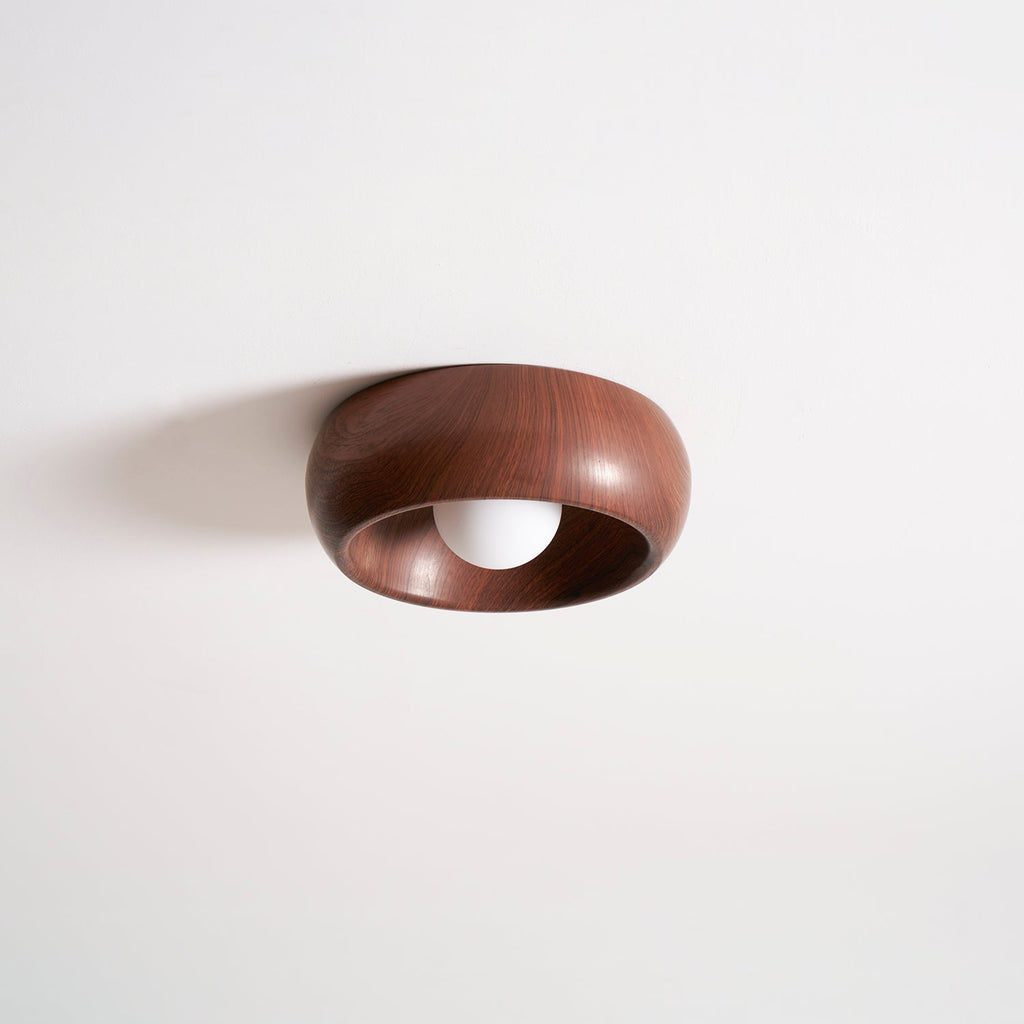 Ring Light Fixture — Ceiling Light | Maison Monashee — view 10