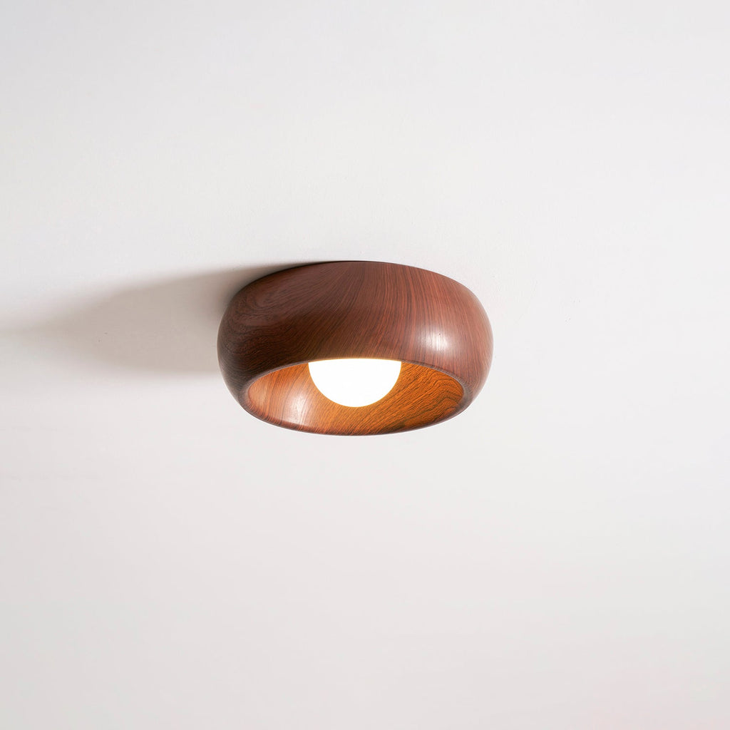 Ring Light Fixture — Ceiling Light | Maison Monashee — view 16